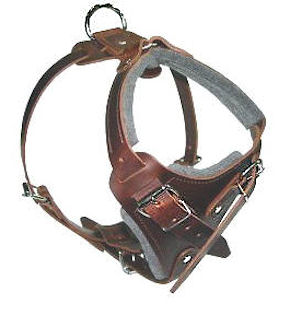 SIMILAR to Gappay Leather Defense Harness for Bullmastiff