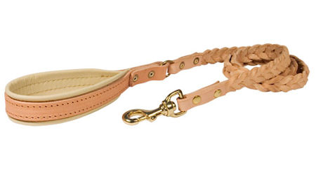 Leather 4 Foot Leash for BullMastiff