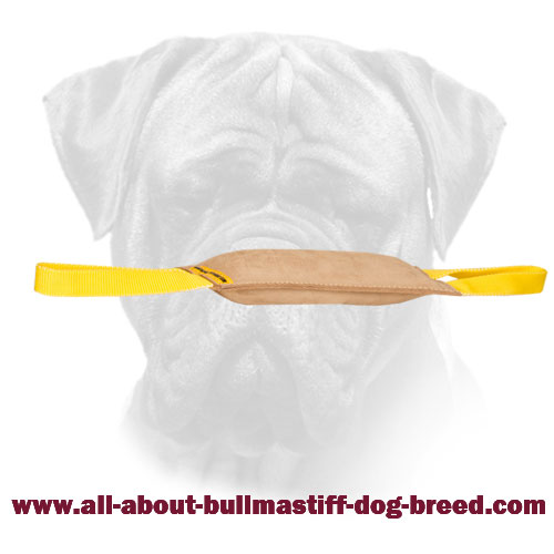 Leather Bullmastiff Bite Tug for Bite Training