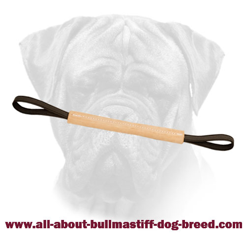 Leather Bullmastiff Bite Tug with 2 Handles for Better Control