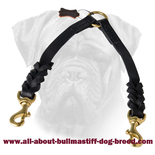Braided Leather Bullmastiff Coupler for Walking 2 dogs