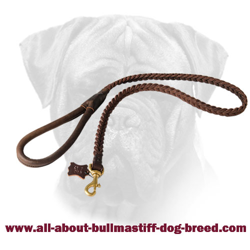 Braided Leather Bullmastiff Leash with Comfortable Handle