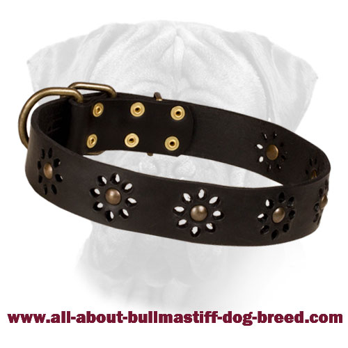 Spring Mood Leather Collar for Bullmastiff