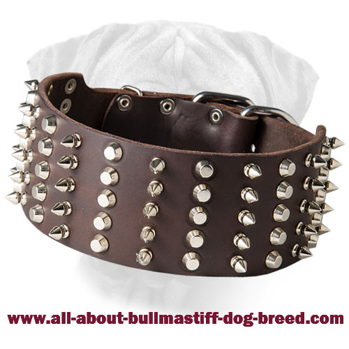 3 inch Spiked and Studded BullMastiff collar