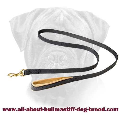 Comfortable Leather Bullmastiff Leash with Support Material on the Handle