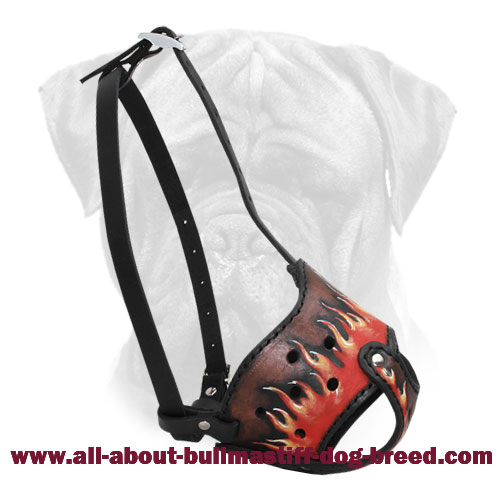 Flames Painted Leather Bullmastiff Muzzle
