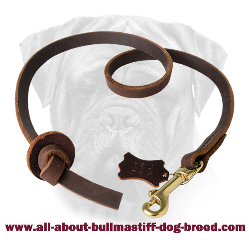 Stylish Pocket Leather Bullmastiff Training Leash
