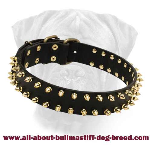 "Unveiled Luxury" Leather Bullmastiff Collar for Walking