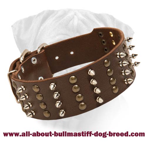 Bullmastiff Spiked & Studded Leather Dog Collar - Click Image to Close