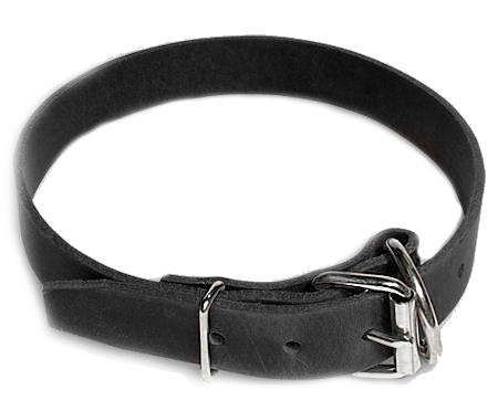 Leather Field Collar for Bullmastiff