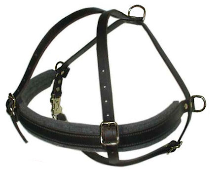 Leather Military Spec DOG Harness for Bullmastiff