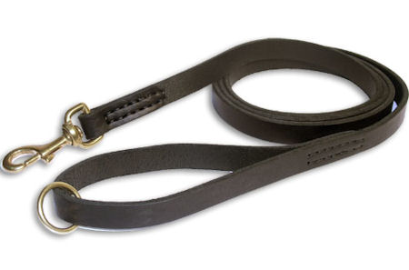 Leather Rescue Leash 3/4 inch on 6 FOOT for Bullmastiff