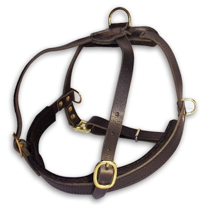 Select Leather Roading Dog Harness for Bullmastiff