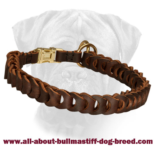Jaunty Webbed Leather Choke Dog Collar