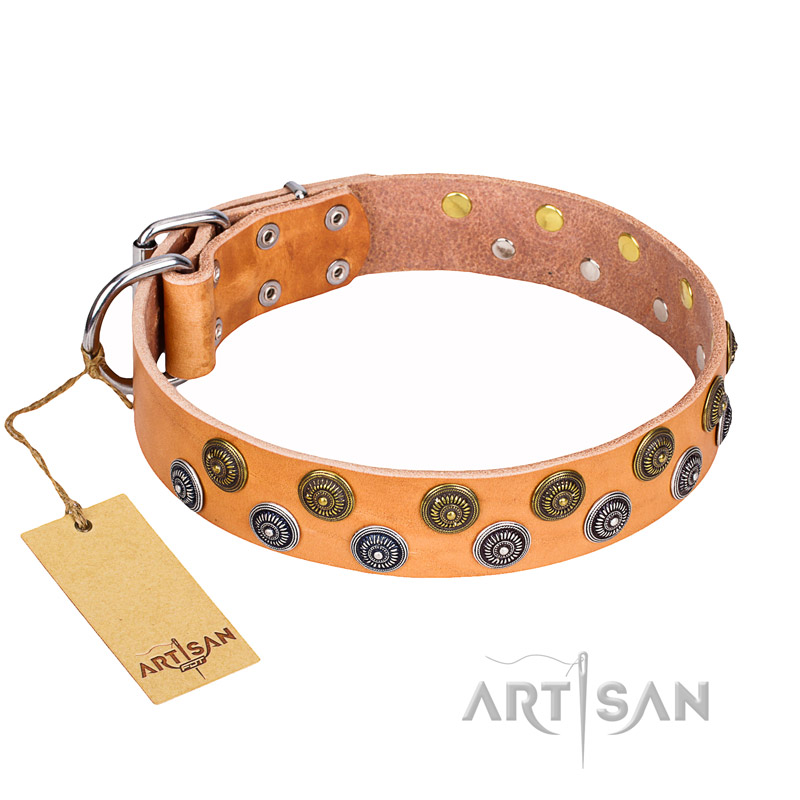 "Precious Sparkle" FDT Artisan Handcrafted Tan Leather Collar for Bullmastiff Mod