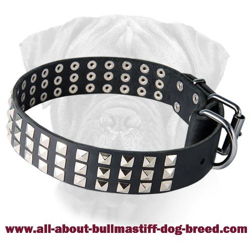 Outstanding Leather Collar with Nickel Pyramids for Bullmastiff