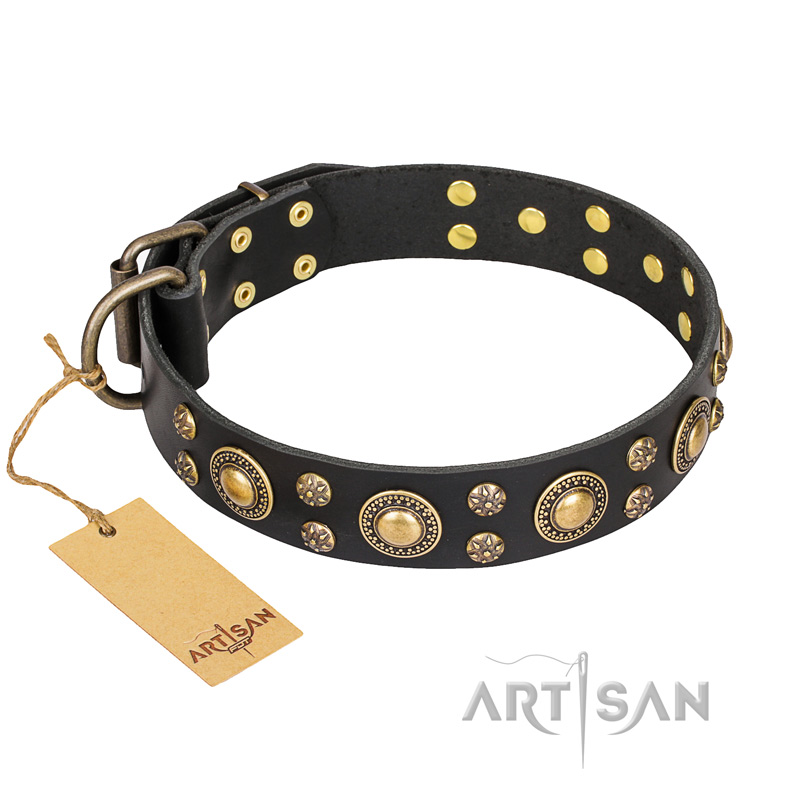 'Baroque Chic' FDT Artisan Studded Black Leather Bullmastiff Dog Collar