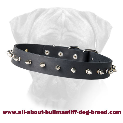 Dog Collar with Shining Nickel Spikes for Bullmastiff