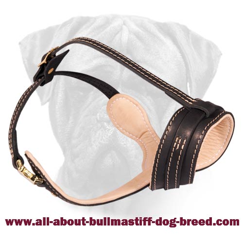 Anti-Barking Leather Bullmastiff Muzzle