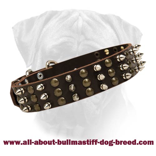 Bullmastiff Studded and Spiked Leather Dog Collar