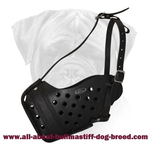 "Dondi" Style Leather Bullmastiff Muzzle