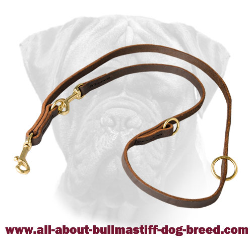 Multifunctional Leather Bullmastiff Leash for Walking and Training