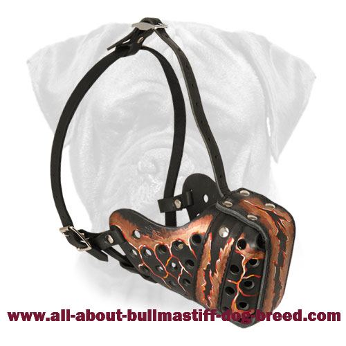 Magma Painted Trendy Leather Bullmastiff Muzzle