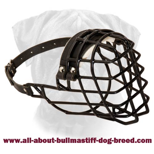 Wire Cage Bullmastiff Muzzle for Winter Walking