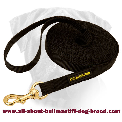 Nylon Dog Leash for Training and Tracking for Bullmastiff