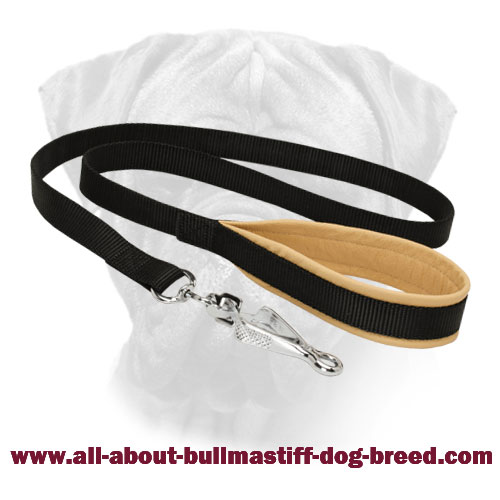 Nylon Bullmastiff Leash for Daily Activities