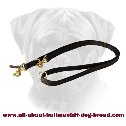 Multifunctional All Weather Bullmastiff Leash