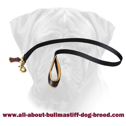 No Rubbing Nylon Bullmastiff Leash with Soft Handle