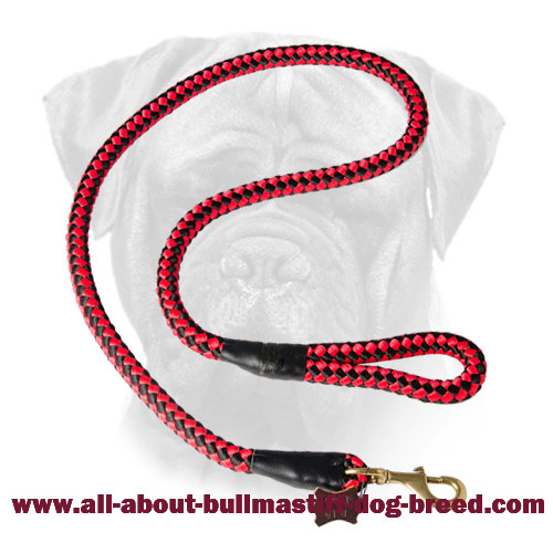 Cord Nylon Bullmastiff Leash with Extra Strong Brass Snap Hook
