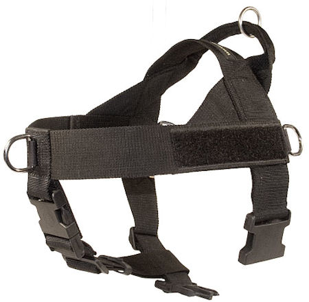 Nylon Companion Safety Harness for Bullmastiff