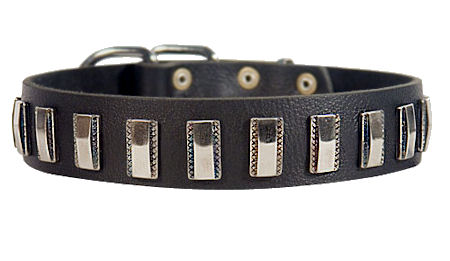Ornament Dog Collar made of leather for Bullmastiff