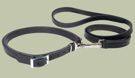 Leather Patent Dog Leash collar for Bullmastiff