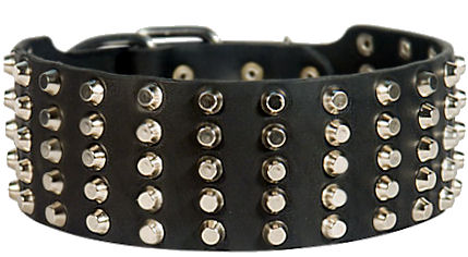 Pyramid Studs on Leather Dog Collar for Bullmastiff
