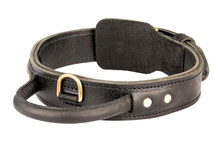 Quick Control Dog Collar with Handle for Bullmastiff