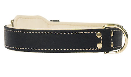 Riveted Leather Dog Collar for Boxer