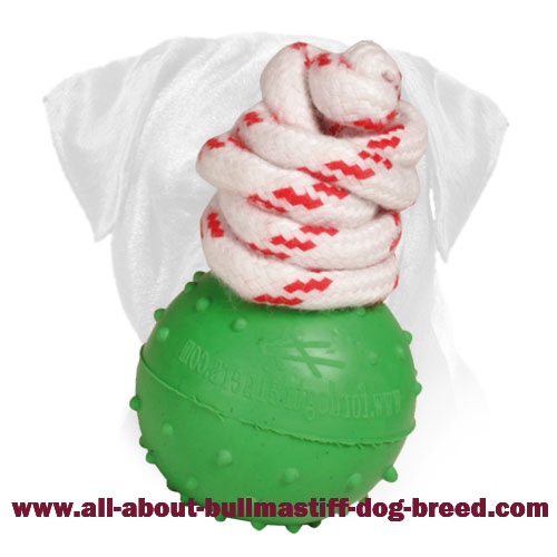 Dotted Rubber Bullmastiff Ball for Water Training and Playing - 5 cm