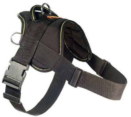 Looking for EzyDog Harness for Bullmastiff