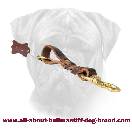 Braided Short Leather Bullmastiff Leash