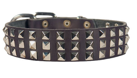 Silver Pyramid Leather Dog Collar for Bullmastiff