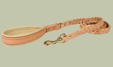 Similar to COACH Leather Dog Leash for Bullmastiff training