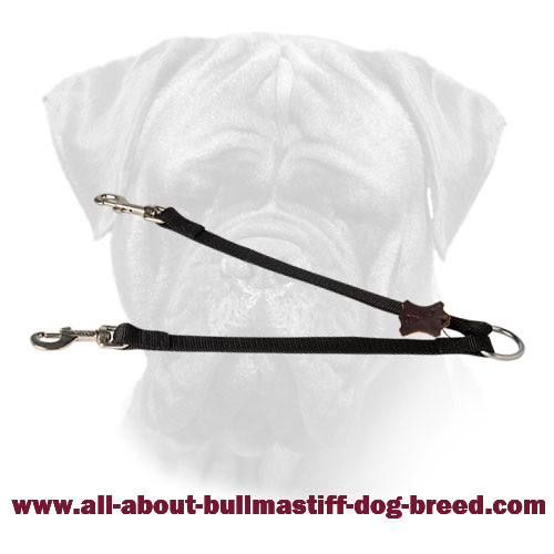 Any-Weather Coupler for Comfortable Walking 2 Dogs