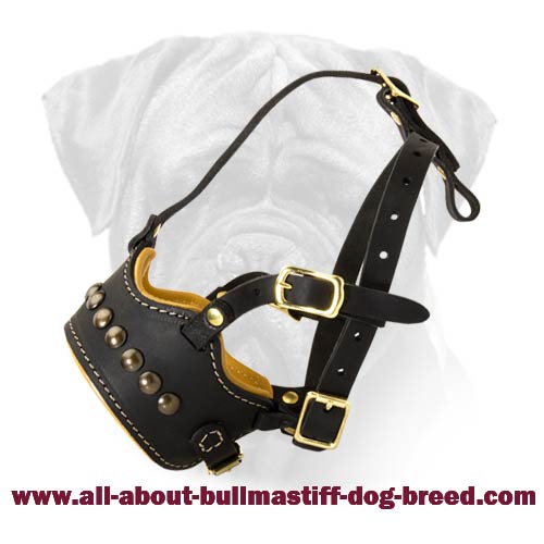 Everyday Super Ventilation Bullmastiff Muzzle with Half-Ball Studs