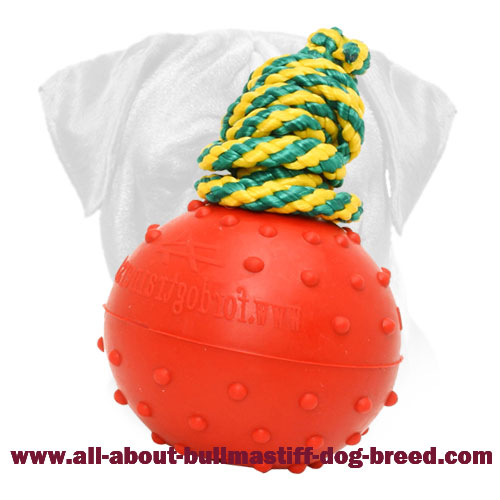 rubber string ball