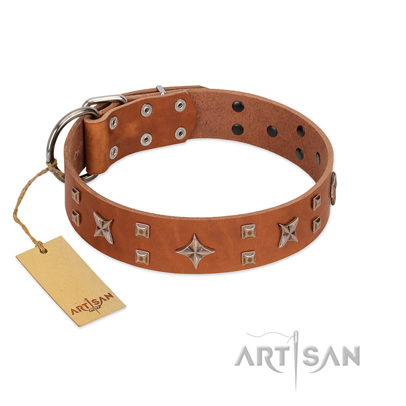 "Dreamy Gleam" FDT Artisan Tan Leather Bullmastiff Collar Adorned with Stars and Squares