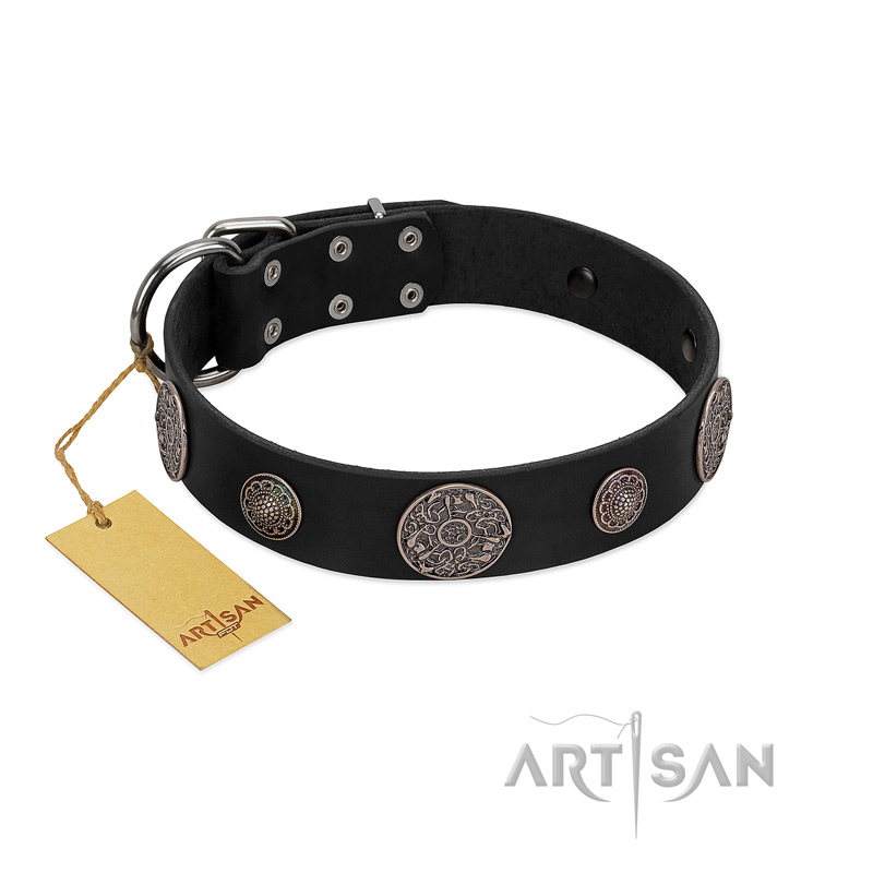 "Ad Infinitum" Durable FDT Artisan Black Leather Bullmastiff Collar with Chrome Plated Brooches