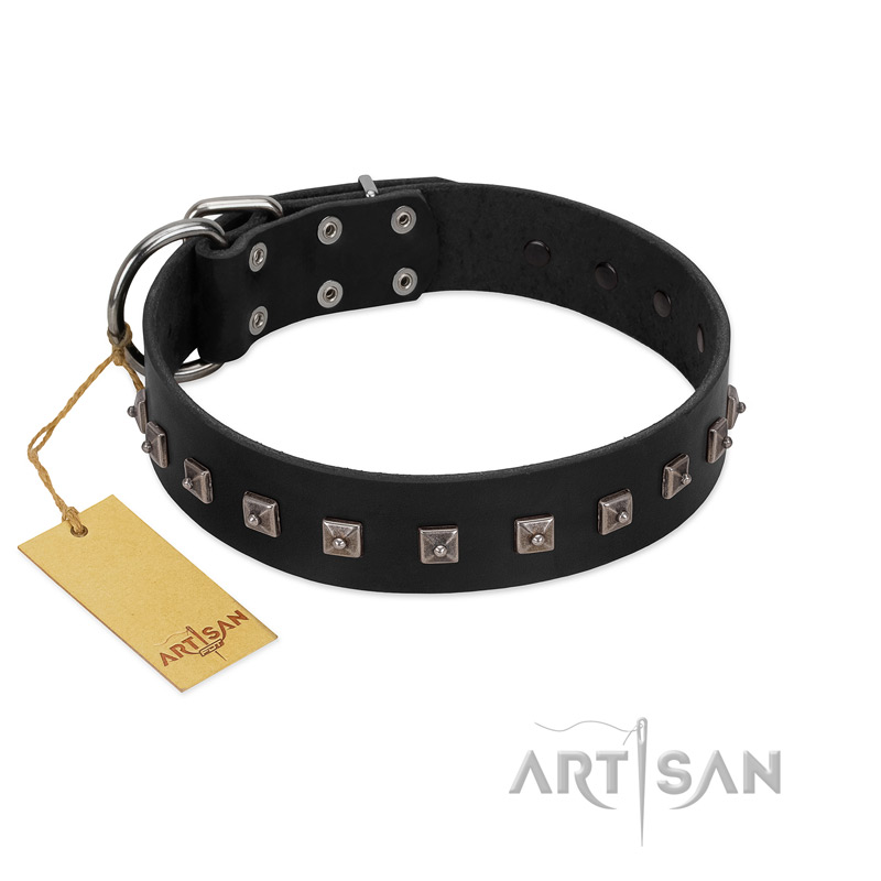 "Natural Beauty" Premium Quality FDT Artisan Black Designer Bullmastiff Collar with Dotted Studs
